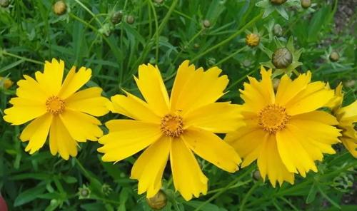 夢見洗手 夢見洗手