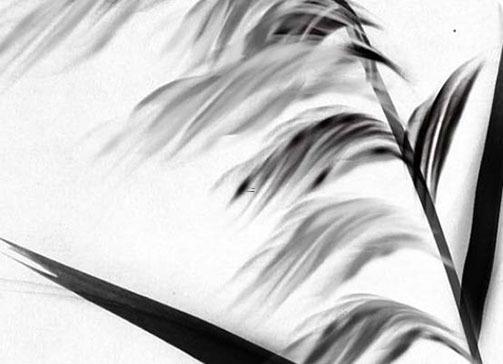 兔在本命年兔年能結婚嗎 兔在本命年兔年能結婚嗎