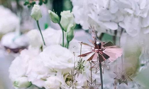 上升星座立命 上升星座立命