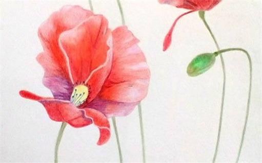 2023虎年屬虎的婚姻 2023虎年屬虎的婚姻