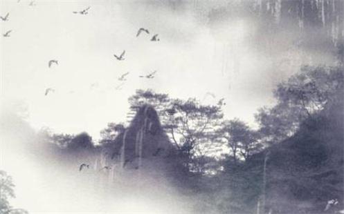 屬兔配什么屬相最好 屬兔的配什么屬相最好 屬兔配什么屬相最好 屬兔的配什么屬相最好