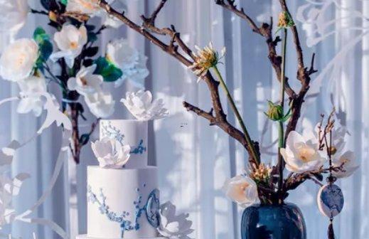 12星座牙齒 12星座牙齒