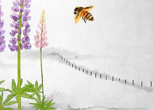 53年屬蛇人的桃花運(yùn) 53年屬蛇女性命運(yùn)