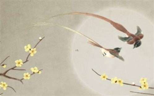 最向往草原和野馬的四大星座 最向往草原和野馬的四大星座