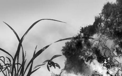 屬蛇的一生穿什么顏色衣服運氣好 屬蛇的今年穿什么顏色衣服有財運 屬蛇的一生穿什么顏色衣服運氣好 屬蛇的今年穿什么顏色衣服有財運