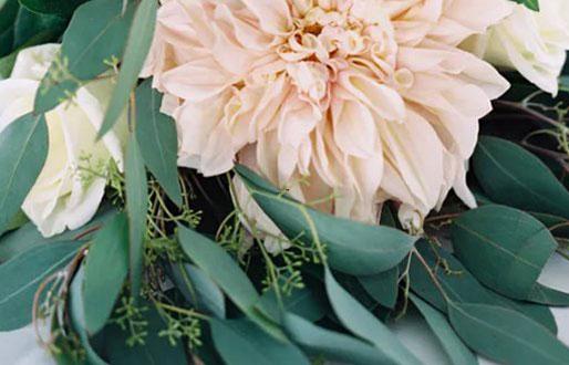 星座解密大全 星座解密大全