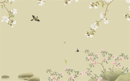 多肉植物十二星座 多肉植物十二星座