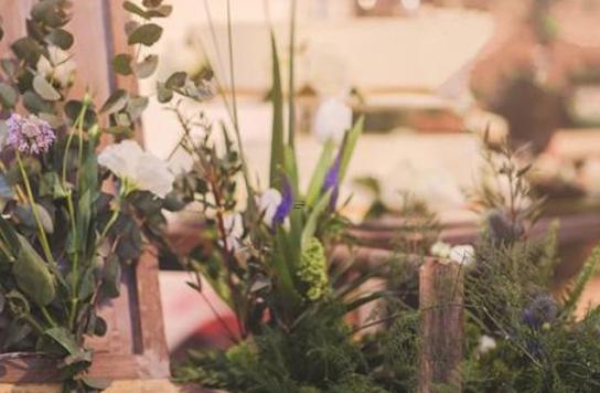 讀書有什么用？這些星座一出口你就知道了