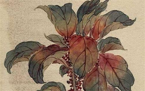 86年屬虎人2023年運勢女 86年屬虎女2023年財運 86年屬虎人2023年運勢女 86年屬虎女2023年財運