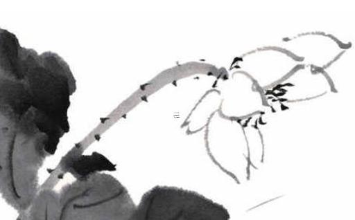 92年屬猴男做銷售合不 92年出生猴男婚姻咋樣