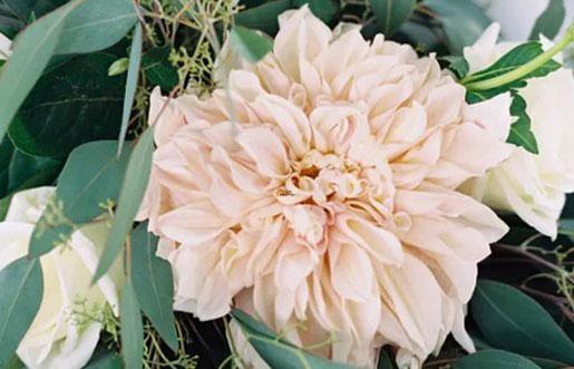 水瓶座的記憶力因何變差？