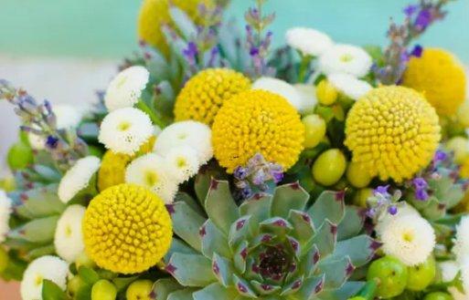 2016年12星座適合幾個對象 2016年12星座適合幾個對象