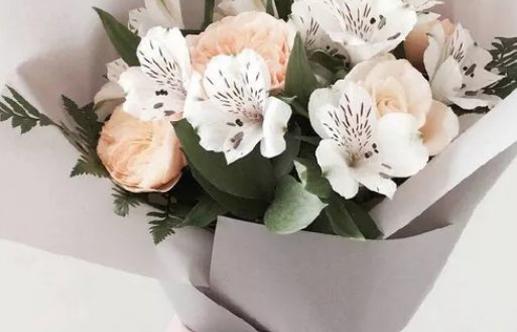 11月24日誕生石生辰石:珍珠 11月24日誕生石生辰石:珍珠