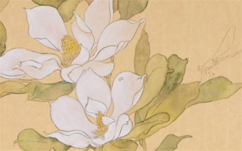 屬兔跟屬龍的不合嗎,屬兔跟屬龍相克嗎 屬兔跟屬龍的不合嗎,屬兔跟屬龍相克嗎