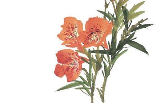 屬鼠與屬啥的相沖 屬鼠的與什么相沖