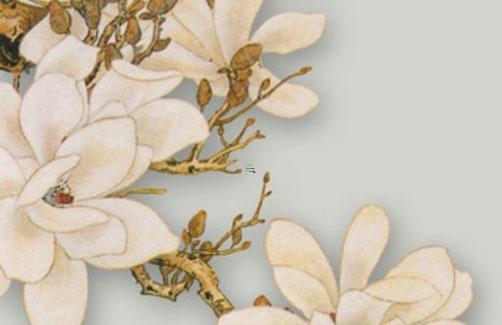 1977年屬蛇的人好不好,1977年的蛇人怎么樣？