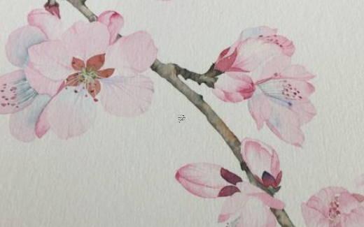 雙胞胎八字一樣為什么命不一樣 為什么雙胞胎的壽命都比較短 雙胞胎八字一樣為什么命不一樣 為什么雙胞胎的壽命都比較短