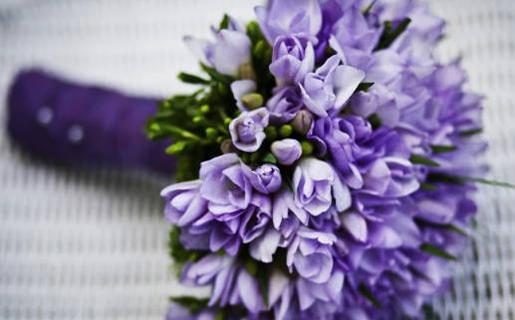 生肖蛇的天秤座和什么生肖星座最配