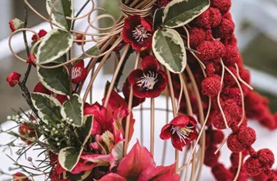 射手座在本命年會倒哪種霉 射手座在本命年會倒哪種霉