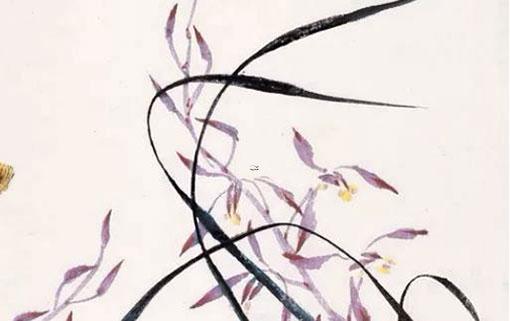 什么是八字吐秀 八字 秀氣