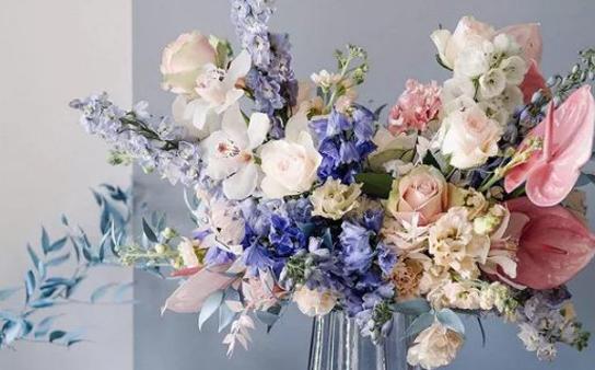 心機(jī)婊星座排行