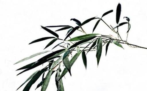 本命年兔手編手鏈 本命年兔手編手鏈