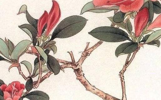 八字息元什么意思 八字 子息 八字息元什么意思 八字 子息