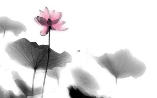 屬虎多大了,1999屬虎多大了 屬虎多大了,1999屬虎多大了