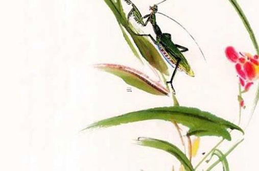 女屬猴男屬虎結(jié)婚好嗎，屬猴女屬虎男的結(jié)婚會(huì)怎樣