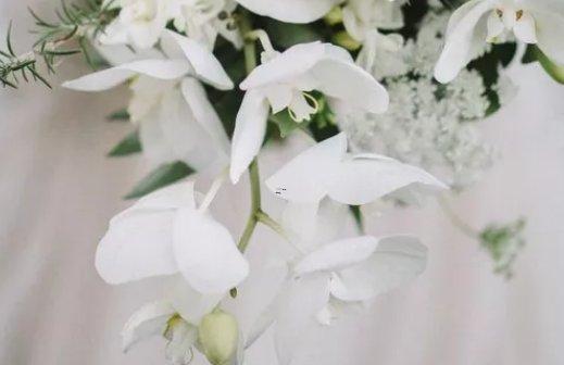 最有脾氣的星座 最有脾氣的星座