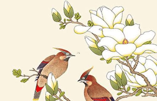 屬猴生肖2023年運(yùn)勢(shì) 屬猴生肖2023年運(yùn)勢(shì)