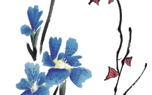 八字忌什么顏色 八字忌紅色 八字忌什么顏色 八字忌紅色