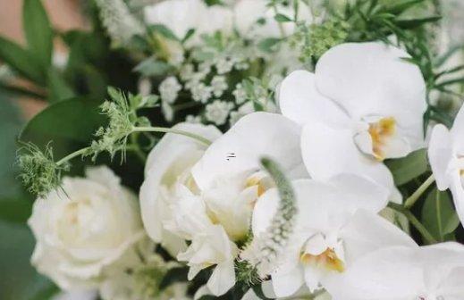 離不開金錢 特別愛財的四大星座