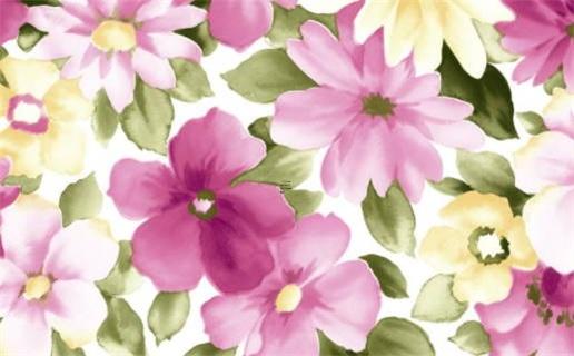 屬兔的婚姻75年的 75年的兔和75年的兔婚姻怎么樣