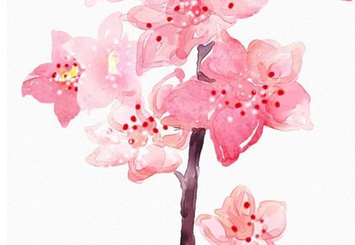 什么八字的人可以帶虎飾品 什么八字適合戴金 什么八字的人可以帶虎飾品 什么八字適合戴金