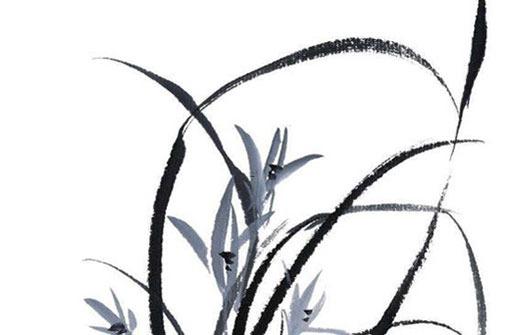 2023屬羊財(cái)運(yùn)