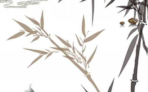 1988年屬龍幾點出生好 1988年屬龍哪月出生的好 1988年屬龍幾點出生好 1988年屬龍哪月出生的好