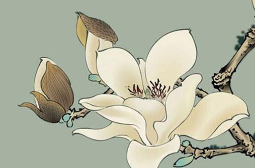 屬虎的今年多大歲數(shù)2023年