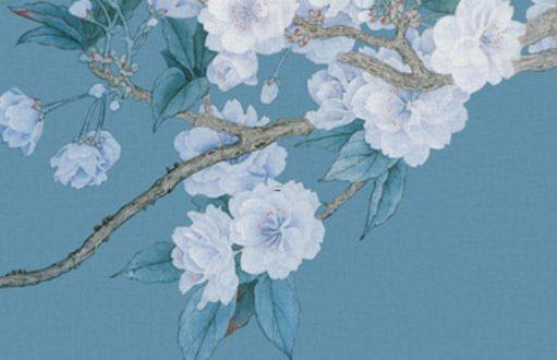 2023屬龍每月運勢 2023屬龍每月運勢