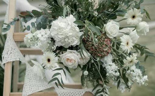 最愛射手女的星座 最愛射手女的星座