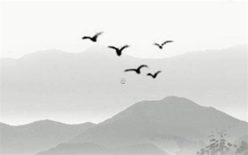 1976年屬龍和1983屬豬,1976龍的與83年屬豬的給合財 1976年屬龍和1983屬豬,1976龍的與83年屬豬的給合財