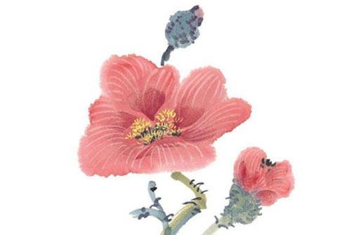 屬虎今年找工作 屬虎的找工作去哪個方向好 屬虎今年找工作 屬虎的找工作去哪個方向好