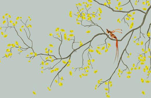 學生辰八字應該看什么書 學生辰八字應該看什么書好 學生辰八字應該看什么書 學生辰八字應該看什么書好