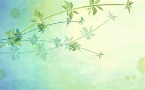 83年屬豬今年是多少周歲，83年屬豬今年多大歲數(shù)了