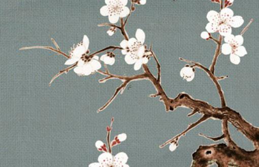 寒八字屬于什么 八字寒氣重是什么意思 寒八字屬于什么 八字寒氣重是什么意思