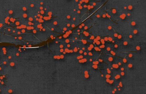 2023年運勢最好的星座女 2023年運勢最好的4生肖 2023年運勢最好的星座女 2023年運勢最好的4生肖