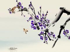 八字天干無合什么意思 天干無合關(guān)系預(yù)示著什么