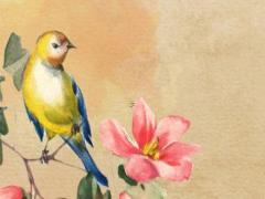 1996年屬鼠女一生婚姻如何,1996年屬鼠女的婚姻命運