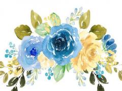 爸媽都姓楊兒子叫什么名字 化典構思富有底蘊