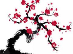 2023屬虎的幸運顏色是啥,2023屬虎的幸運顏色是啥意思